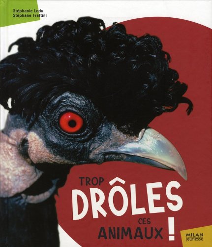 Trop drôles ces animaux !