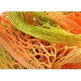 Sundance Frill Yarn - Sherbet