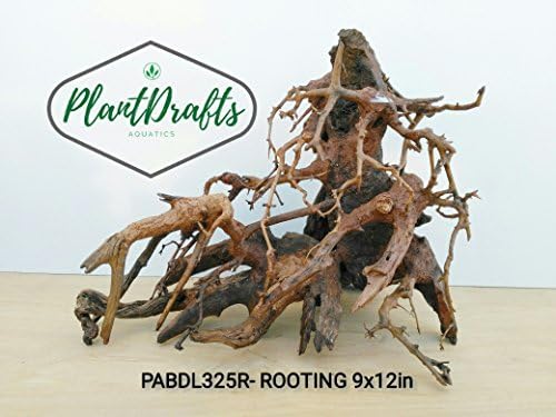 Large Bonsai Tree Driftwood "Rooting" Decoration for Aquarium Terrarium Tropical Fish Shrimp Betta Habitat Decor Freshwater Live Plants