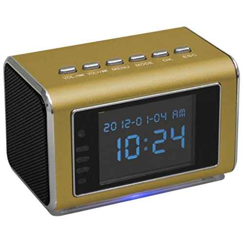 Online-Enterprises MVS02 Motion activated Top Secret Spy camera / Invisible IR lights / Automatic IR / constant record / battery backup power 6-8 hours / Hidden Camera (Gold color)