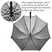 Rainlax Windproof Golf Umbrella 62 inch Automatic Open Large Sun Umbrellas (Silver White)
