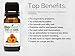 BioFinest Apricot Kernel Organic Oil - 100% Pure Cold-Pressed - Best Moisturizer for Hair Face Skin Acne Sunburn Cuts Wrinkle Scars Eczema - Essential Antioxidant, Vitamin E - Free E-Book (10ml)
