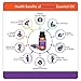 GuruNanda Lavender Essential Oil, 100% Pure, Natural & Undiluted Aromatherapy Oil for Diffusers, Massage & DIY Recipes, Aids Relaxation and Feeling of Calmness (0.5 FL Oz)