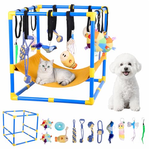 SeekPals Puppy and Cat Play Gym