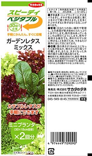 Amazon サカタのタネ スピーディベジタブル 30日 ガーデンレタスミックス 10袋セット 野菜