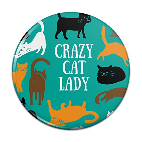 Crazy Cat Lady Teal Orange Black Brown Pinback Button Pin Badge - 1