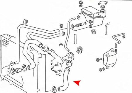 Amazon.com: URO Parts 1245011782 Radiator Hose, Upper: Automotive