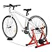 RAD Cycle Products RAD MAX Gonzo Trainer Smooth Magnetic Resistance 7 Levels Simulate Road Conditions Allows You to Work Out with Your Bike