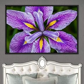 signwin Framed Canvas Wall Art Blooming Closeup Botanical...