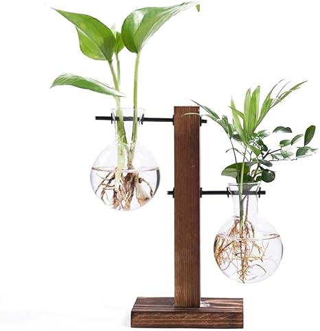 Amazon Co Jp Lstart 木製花瓶スタンド 水耕栽培花瓶 卓上花瓶 水耕栽培植物 電球形ガラス瓶 花 植物栽培容器 木製スタンド付きデスクトップガラスプランター電球花瓶ホームガーデン結婚式の装飾 オフィス アウトドア ホーム キッチン