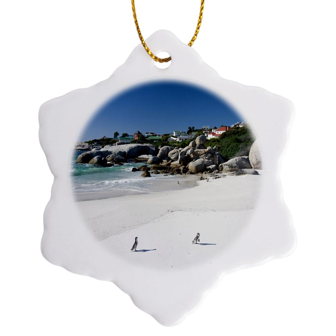 3dRose African Penguin, Boulders Beach, South Africa-Af42 Rbe0069-Ralph H Bendjebar Snowflake Ornament, Porcelain, Multi-Colour, 3-Inch