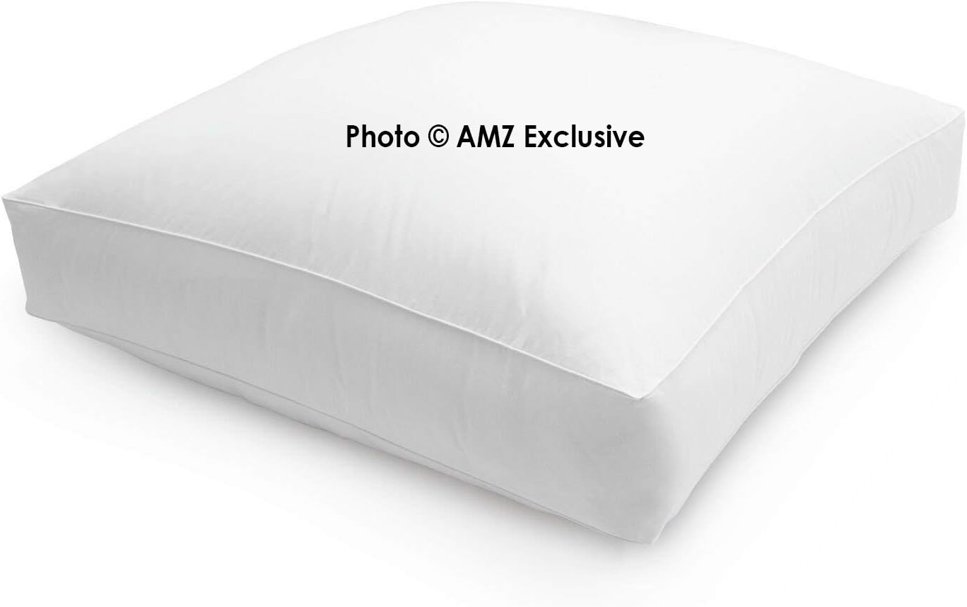 AMZ Extra Large Down and Comfortable Floor Cushion/Pillow Square Dorm Floor Cushion for Comfortable Working (White,Set of 1) (20 x 20 Inches)