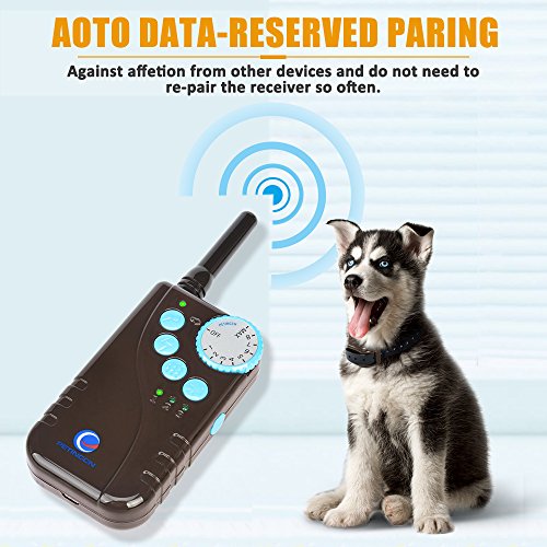 PETINCCN Wireless Remote Dog Training ECollar / Rechargeable Pet