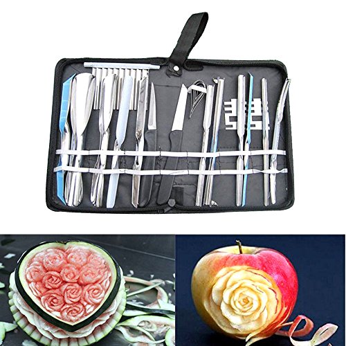 Plum Garde 20 pcs Culinary Carving Tool Set Fruit Vegetable Food