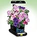 AeroGarden Cascading Petunia Flower Seed pod Kit, 3-Pod
