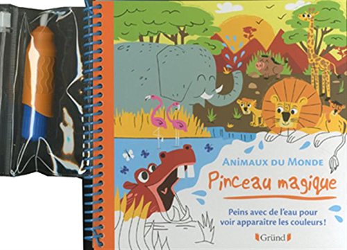 Pinceau magique aux éditions Gründ | Le petit coin lecture d'Arsène