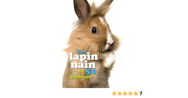 Ton Lapin Nain En 50 Questions 50 Questions Sur Figueras Emmanuelle Luchini Maximiliano Amazon Com Books
