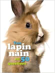 Ton Lapin Nain En 50 Questions 50 Questions Sur Figueras Emmanuelle Luchini Maximiliano Amazon Com Books