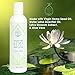 The Wonder Seed Hemp Oil Body Lotion for Women & Men - 100% Natural Organic Formula - Intensive Hydrating Action - Non Greasy Daily Moisturizer - Proudly Cruelty Free Beauty Products (Water Lotus)
