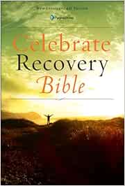recovery zondervan niv