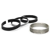 Sealed Power E-251X Engine Piston Ring Set for Ford F-150