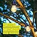 Brightech Ambience Pro Incandescent Outdoor String Lights - Commercial Grade Waterproof Patio Lights with 24 Ft Dimmable Edison Bulbs, Porch String Lights for Patio, Backyard, Christmas - 7 Bulbs 11W