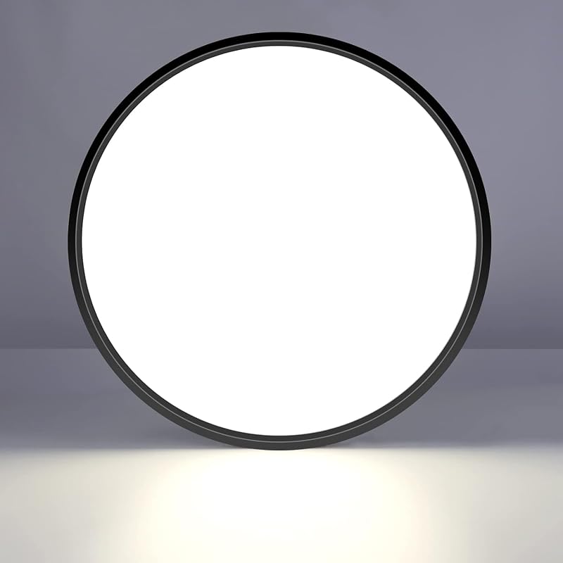 LightingWill 15.7in LED Flush Mount Ceiling Light 3800lm 5000K Black Round