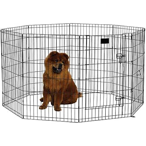 Temporary Dog Fence