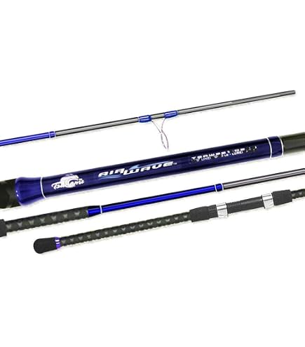 Tsunami Airwave 10' Surf Rod Xtra Hvy TSAWSS-1002XH New : Surf Fishing Rods : Sports & Outdoors