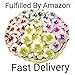 NAVA CHIANGMAI Plumeria Flower Floating Candles 10 Pieces / 1 Set