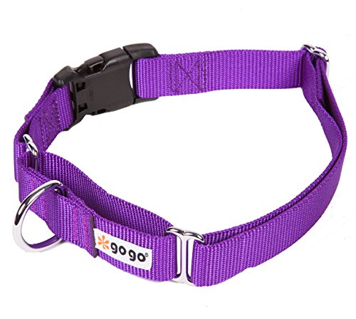 GoGo Pet Products GoGo 3/4-Inch Martingale Dog Collar, Medium, Purple