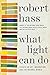 What Light Can Do: Essays on Art, Imagination, and the Natural World