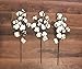 Cotton Stem 3 Pack - 12 Buds Per Stem Rustic 20