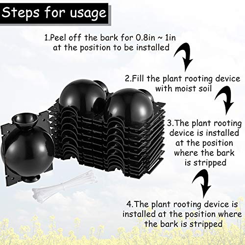 12 Pieces Plant Root Growing Box Root Grafting Ball Reusable High Pressure Propagation Ball Box