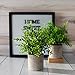 Modern Farmhouse Decor Small Fake Plants (2 Piece Plant Decor 9