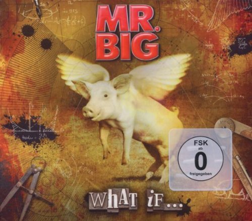 Mr. Big - What If... [cd/dvd Combo] - Zortam Music