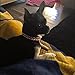 PAWZ Road 2 Rows Pet Necklace Dog Collar Cat Jewelry with Pearls Rhinestones Pink Charm