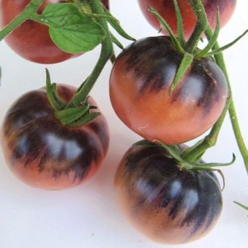 Amazon.com: Amethyst Jewel tomato. 40+ fresh seeds for 2018: Home & Kitchen