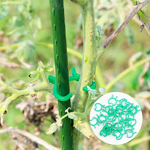 Yotako 3 Pack Metal Plant Support Stakes, 3 Pcs DIY Single Stem Plant Sticks, Plant Cage Support Rings, Garden Tomato Cage with 30 pcs Plant Clips for Plant Flower Growing - Thumbnail 5