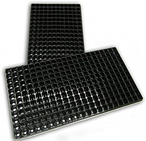 Black Plug Plant Seed Trays 264 Cells 12 x 22 with Drainage Holes 540mm x 277mm (1000 Tray)