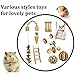 Maibtkey Hamster Chew Toys, Guinea Pig Toys Chinchilla Roller Rat Chews Toys, Teeth Care for Small Animals Bunny Rabbits Toys Accessories, Dumbbells Exercise Bell Unicycle, Pack of 10