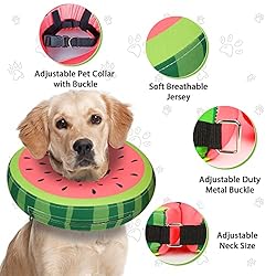 Dog Cone Collar for Small Medium Large Dogs for