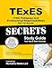 TExES Pedagogy and Professional Responsibilities EC-12 (160) Secrets Study Guide: TExES Test Review for the Texas Examinations of Educator Standards