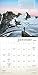 Wanderlust 2019 Wall Calendar: Trekking the Road Less Traveled - Featuring Adventure Photography by Dan and Janine Patitucci