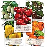 Seed Needs, Habanero Seed Collection (5 Individual Packets) Non-GMO