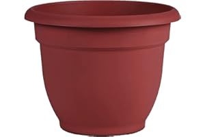 Bloem Ariana Self Watering Planter: 12" - Burnt Red - Durable Resin Pot, for Indoor and Outdoor Use, Self Watering Disk Inclu