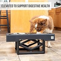 Pet Zone Designer Diner Adjustable Elevated Pet Feeder Raised Dog