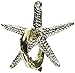 Bepuzzled STARFISH Hanayama Cast Metal Brain Teaser Puzzle (Level 2) Puzzles For Kids and Adults Ages 12 and Up