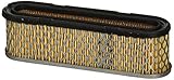 Tecumseh 35403 Air Filter