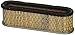 Tecumseh 35403 Air Filter primary